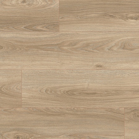 Дуб Робур 37245 AV