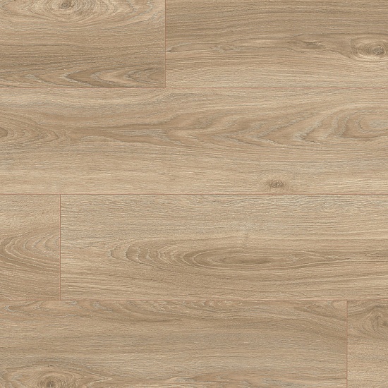 Дуб Робур 37245 AV