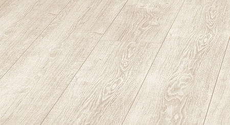 D 3750 Дуб Клеопатра