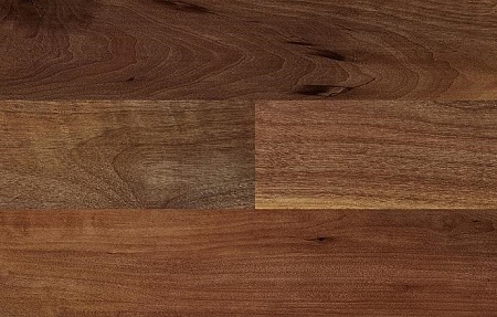 Вишня Сойер D1505