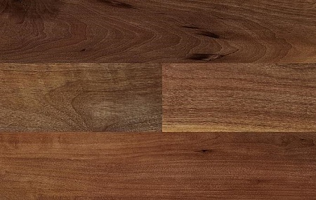 Вишня Сойер D1505