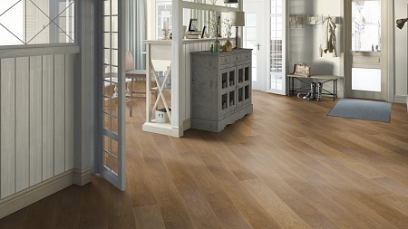 Андромеда 504421001