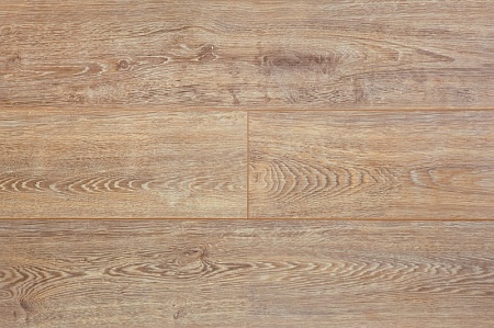 JT105 Дуб Динарский