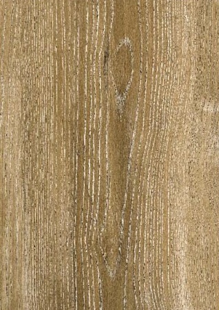 Ясень коричневый 504466002