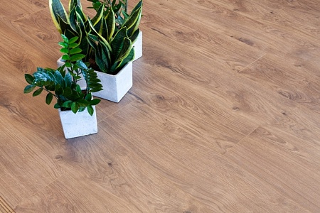 62001917 K1511 Allegro Brown