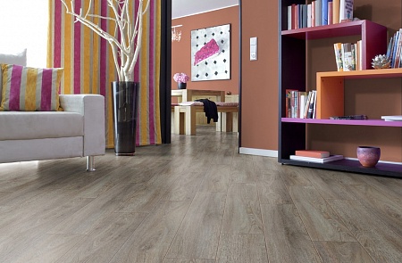 Дуб Робустус D4841