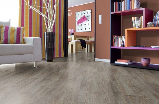 Дуб Робустус D4841