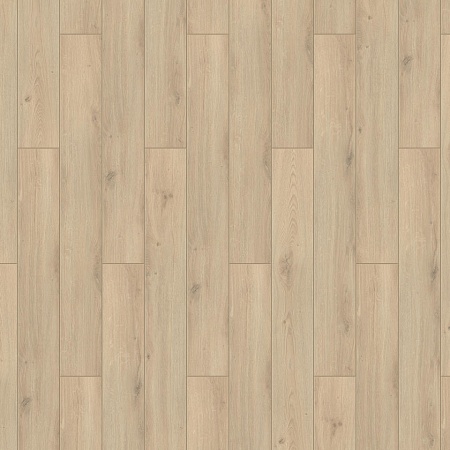 Романов 504442001