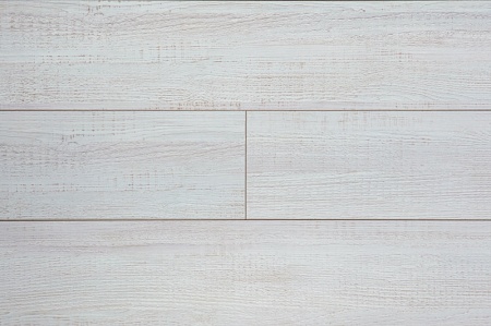 JT101 Дуб Любляна