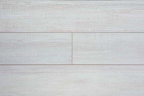 JT101 Дуб Любляна