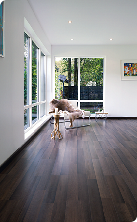 Дуб Королевский 8512