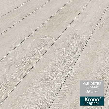 Дуб Атлас К 031