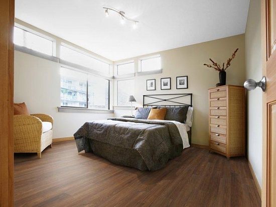 Бирманский тик 504035083