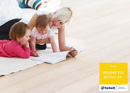 Дуб Кристмас 504022054