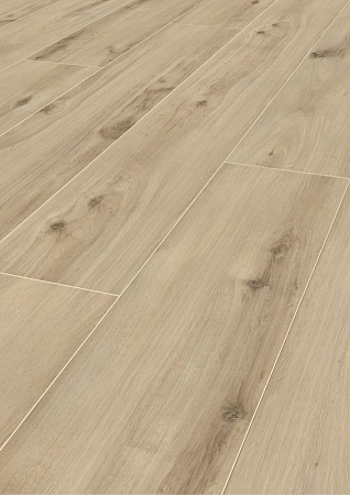 Дуб Десперадо К063