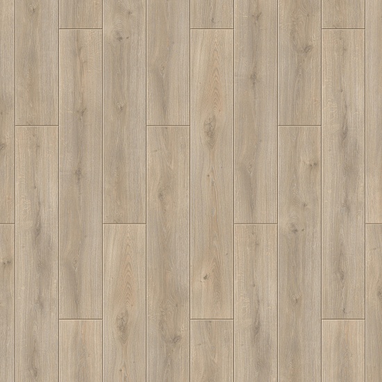 Бертон 504415046