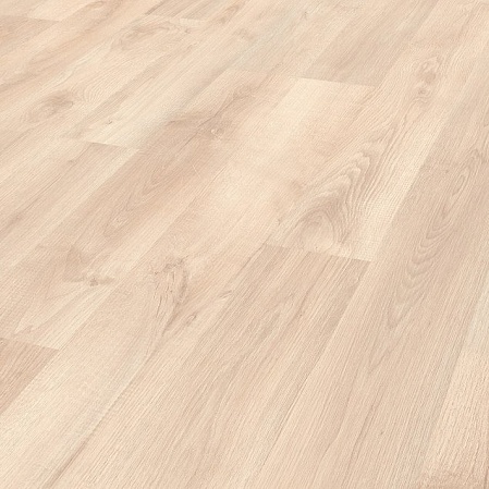 5236 Дуб Гренландский