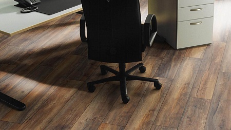 Дуб Болотный 8570