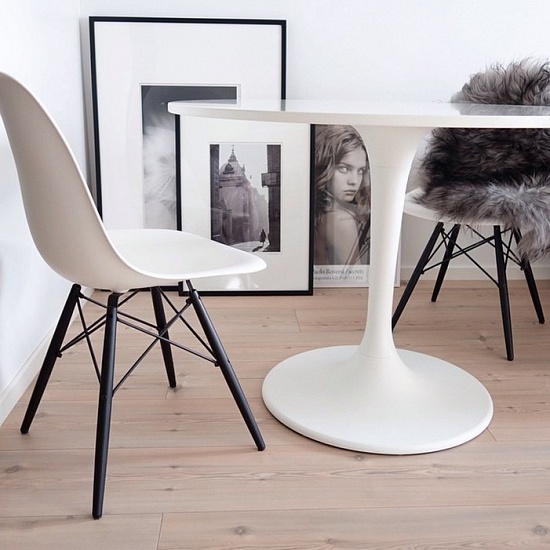 Сосна белая 05201