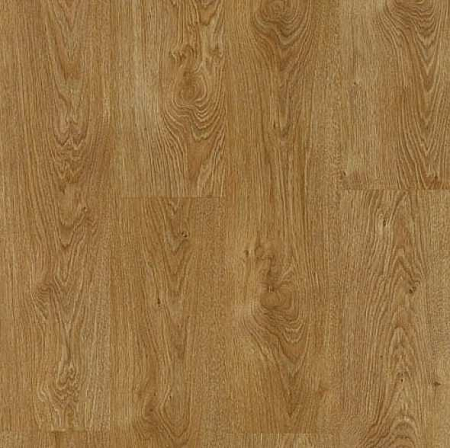 Дуб северный 8635 RF