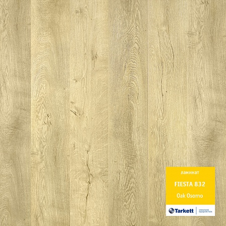 Дуб Осорно 504016047