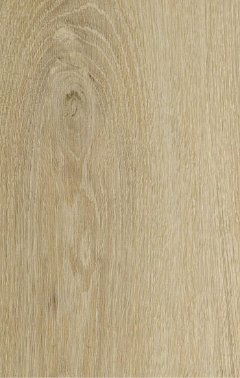 Дуб Виктория C162