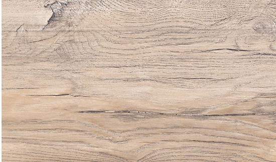 Дуб Небесный 1871