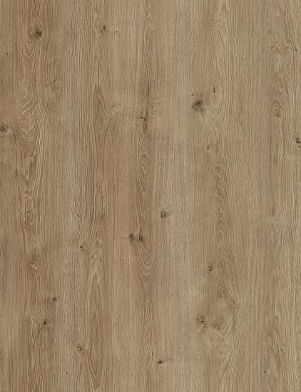 Дуб Альмади FP854