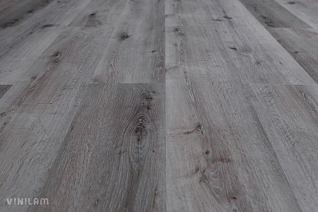 Дуб Монс 10-065