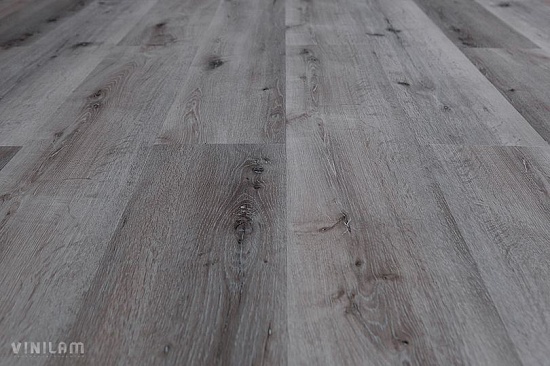 Дуб Монс 10-065