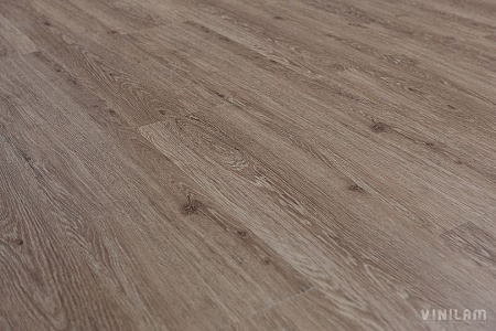 Дуб Брюссель 04-018