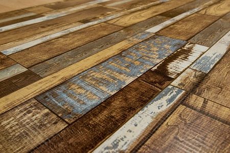 AQ 107 Дуб Забайкальский