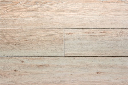 JT201 Дуб Идрийский