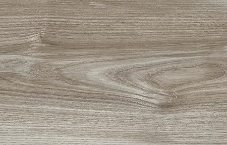 Дуб Цефей D7071