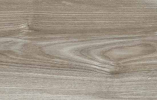 Дуб Цефей D7071