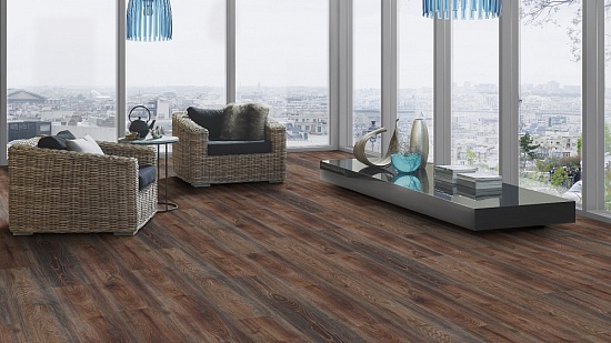 5340 Дуб Каталония