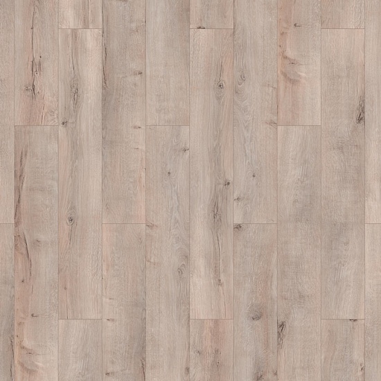 Антиб 504034038