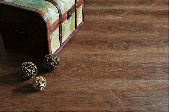 Дуб Провинциальный 4279