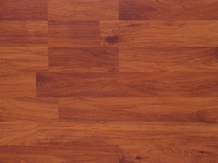 Ольха Турецкая 1470