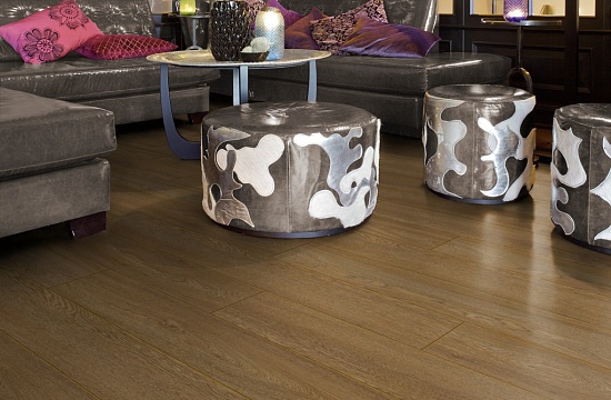 Дуб Орион D4846