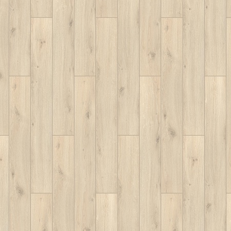 Варнер 504418016