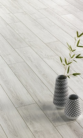 SC 627 Дуб Полярный