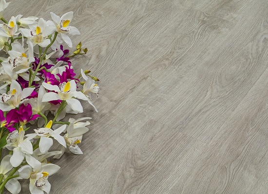 Дуб Малага FF-1979