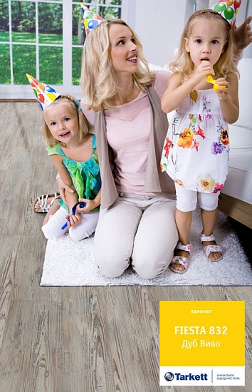 Дуб Виво 504016056