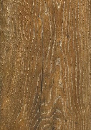 Shakespeare 504462107