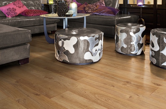 Дуб Мамре D 4909