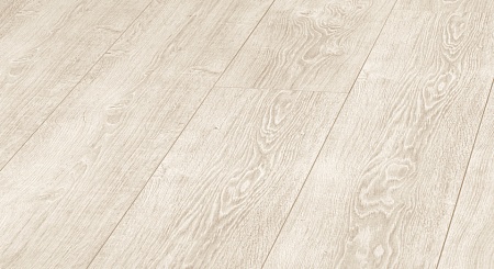 Дуб Клеопатра D 3750