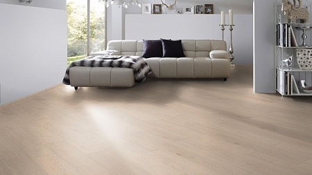 Дуб Меридиан 4277