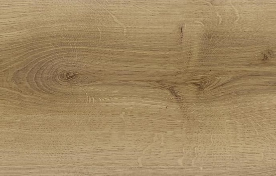 Дуб Маджоре D8146