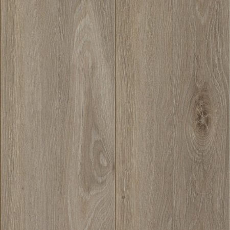 Дуб Лион D 3509